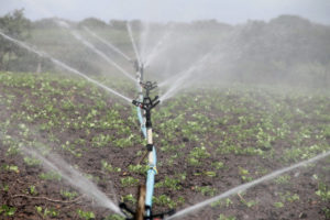 Irrigazione interventi di ingegneria naturalistica outdoor